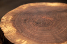 Load image into Gallery viewer, Alabama Sawyer Live Edge Round Side Table/ Fossil Table
