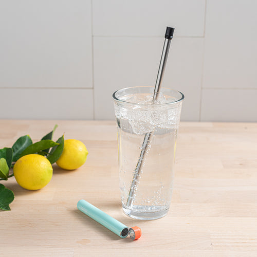 Reusable Drinking Straw mint with coral top